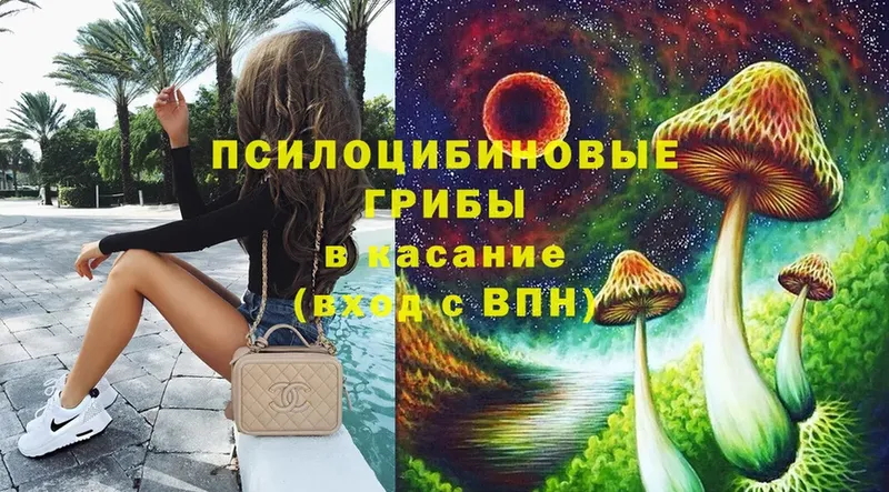 Псилоцибиновые грибы MAGIC MUSHROOMS  маркетплейс наркотические препараты  Омутнинск 